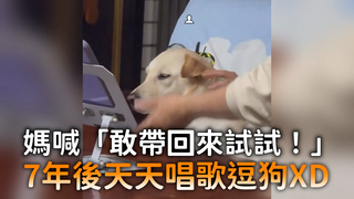 媽喊「敢帶回來試試！」 7年後天天唱歌逗狗XD