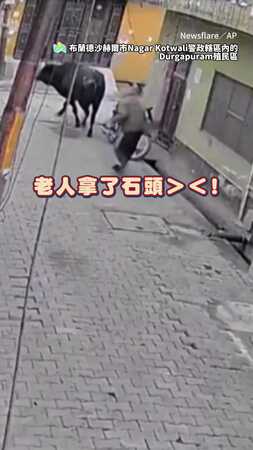 【動物報復？！】長者丟石驅趕牛沒想到…竟遭連續攻擊????