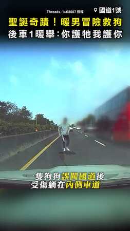 【聖誕奇蹟】國道暖男冒險救狗！ 後車1暖舉：你保護牠，我保護你