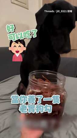 【一定沒好事】歐告突被媽讓吃肉乾自助餐嚇到急缩開！