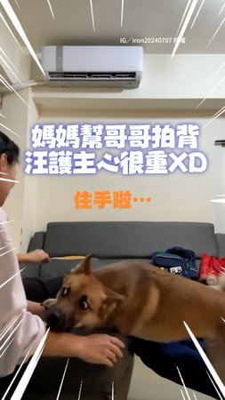 【護主心很重】哥感冒媽幫拍背！汪見狀狂吠叫：快點住手