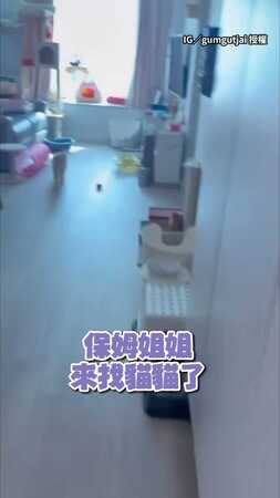 【好多話想說】一開門見英國短毛貓衝出迎接！奶音打招呼：哈囉～