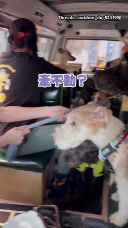 【捨不得啦】秋田犬坐在校車上不想回家：偶還想跟朋友們玩...