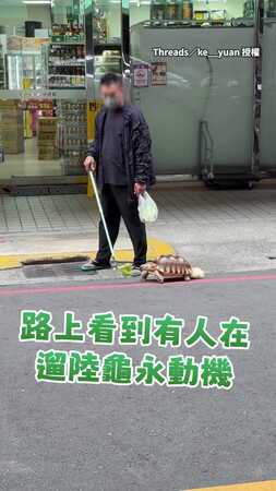 【陸龜永動機】阿伯用菜菜遛龜！龜龜邊吃邊前進