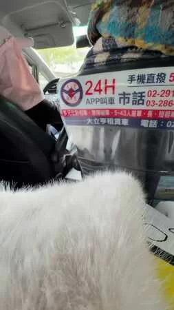 怡琪搭車遇驚魂