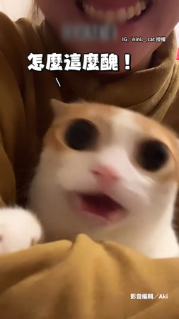 【貓貓也變臉】媽玩相機特效被貓嫌棄 下秒直接換到牠臉上XD