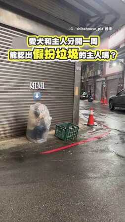 【難怪搜救犬沒有柴？】柴柴和主人分開一周　假扮垃圾看牠能不能認出