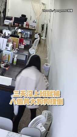 【再不帶肉肉】女職員3天沒進公司！遭8個月大阿金撲倒在地XD