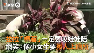 拉拉「棒溜」一定要咬娃娃陪　網笑：像小女生要揪人上廁所