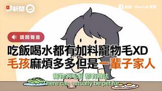 吃飯喝水都有加料寵物毛XD　毛孩麻煩多多但是一輩子家人