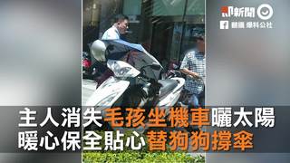  主人消失毛孩坐機車曬太陽 暖心保全貼心替狗狗撐傘
