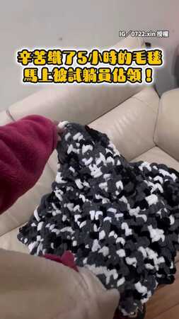 【試躺員搶先開箱】老婆親織毛毯還沒送就被貓貓們佔領