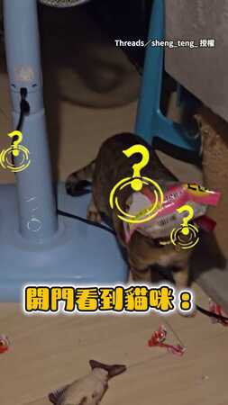 【肉泥派對】貓偷吃肉泥吃到頭套包裝袋超ㄎㄧㄤ