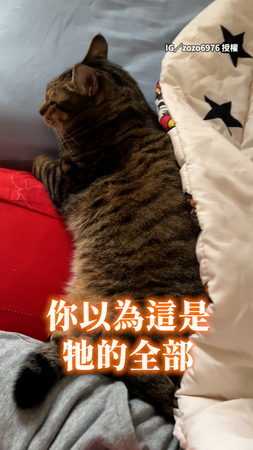 【二分之一貓貓】掀開被被之前，是回不去的身材呀XD