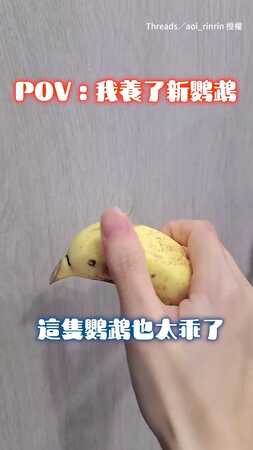 【香蕉超進化】這是我看過最好吃的玄鳳鸚鵡了XD