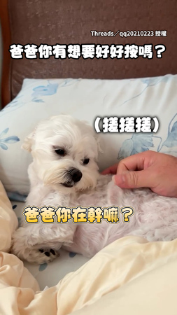 【按摩變拉皮】小狗看著爸爸的手表情超無奈