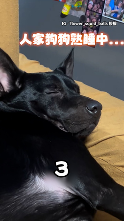 【表情訴說了一切】媽媽突打噴嚏...熟睡歐告秒被嚇醒！