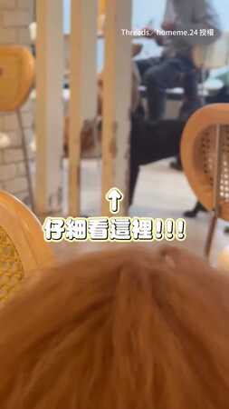 【拜託別再啃了QQ】小狗們集體啃柱子 老闆快哭出來