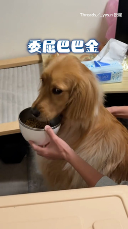 【委屈小眼神】挑食阿金拒吃乾乾 飯送到嘴邊堅決SAY NO！