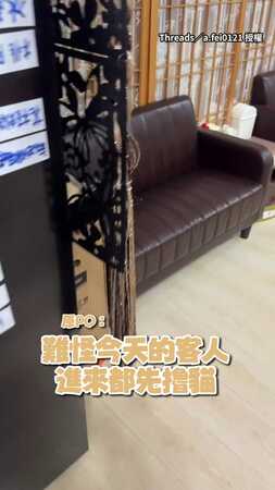 【誰能忍住不摸】胖橘貓翻肚肚睡覺！被摸還會搖搖尾巴