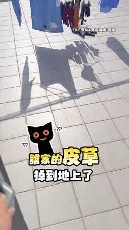 【誰家的皮草掉了？】圓潤貓貓屋頂超Chill曬太陽　網友：讓人想吸爆