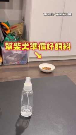 【響板模式抗議】柴柴有飼料不吃，直接對主人哭餓