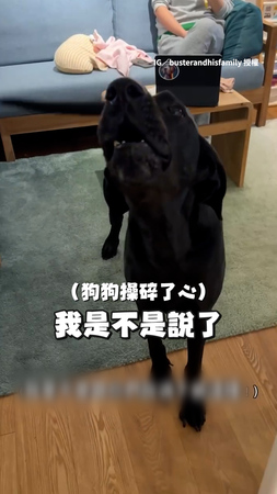 【家裡沒我不行】黑狗見嬰兒腳卡住在一旁碎念叫爸來幫忙