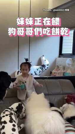 【太幸福惹】萌妹餵餅乾被大狗狗們包圍❤