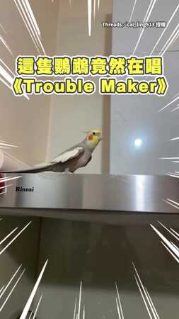 【鸚鵡練習生上線】唱《Trouble Maker》準到想幫牠出道XD