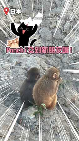 【放手才是真成長】飼育員哥哥現身說法！　Panchi找到「4位守護者」