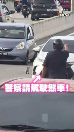 【暖警衝進車陣救貓】小奶貓困馬路中央　他立刻停車救援QQ