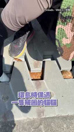 【好人一生平安】環島遇橘貓困橋樑伸縮縫...男伸手救援！
