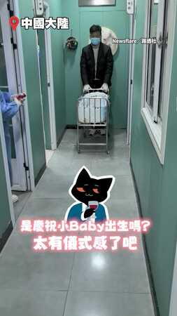 【最恥慶祝儀式】貓咪嘎完蛋「大字型」躺平　麻醉沒退遭拉炮、撒羽毛慶祝