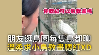 朋友逛鳥園每隻鳥都聊　溫柔求小鳥教畫腮紅XD