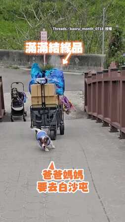 【太孝順了】爸媽要去白沙屯　小狗成「最萌幫手」拉結緣品車車