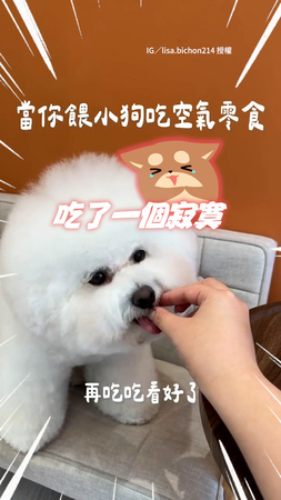 【餵比熊犬吃空氣零食】牠連吃3次後才沒再上當XD