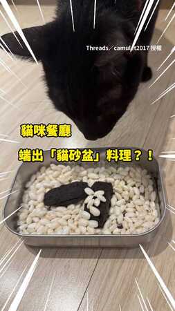 【媽媽是餓壞了嗎？】愚人節自製「貓砂盆」創意料理　賣相太逼真：三貓看傻眼超震驚