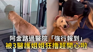 阿金路過醫院「強行報到」　被3醫護姐姐狂撸超開心啦