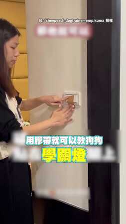 【訓犬奇招】用膠帶訓練出「關燈神犬」　網友笑翻：獲得一隻會玩電燈的狗狗