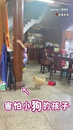 【反差笑翻】女孩被萌犬嚇到　整個人直接掛上柱子XD