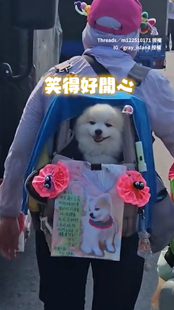 【我也一起走】萌犬坐媽背後一起跟媽祖進香