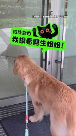 【志不在看病】阿金路過醫院「強行報到」　被3醫護姐姐狂撸超開心