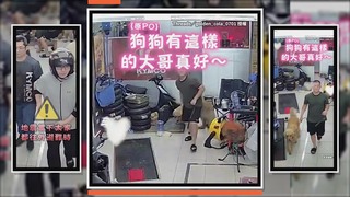 地震當下大家都往外避難　大哥卻先回頭帶走狗弟弟