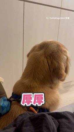 【不理就是不理】馬麻溫柔叫喊名字　阿金堅決不回頭XD