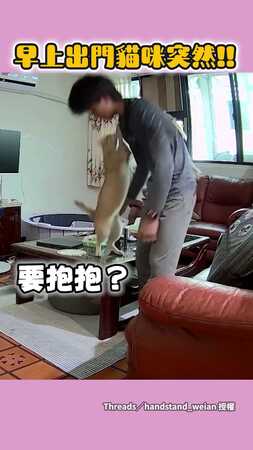 【組合技邀約】貓咪趁主人彎腰突然跳上背！下秒兩人開始表演特技？