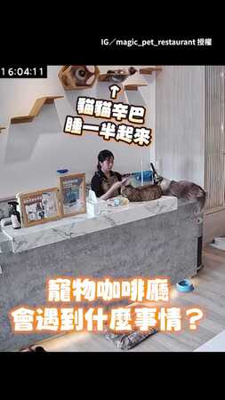 【救駕喔！】貓咪起床腳滑緊抓跳台求救 店員即刻救援