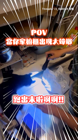 【這家沒我不行】櫥櫃驚見小強！人類卑微打燈「全看白襪貓表演」XD