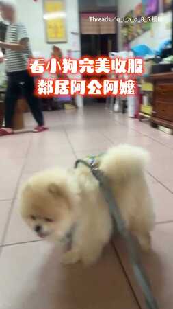 【小狗想要小狗得到】完美收服鄰居阿公阿嬤！私藏草莓留給牠還親手餵♥