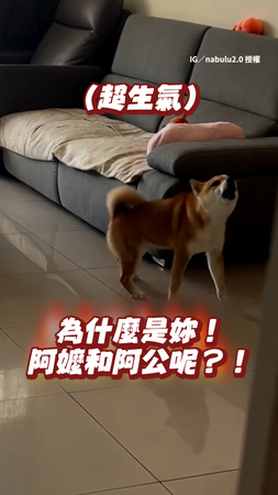 【我要阿嬤啦】柴見媽進門生氣怒吼 問是誰還越跑越遠