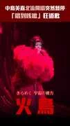 中島美嘉北流開唱突然暫停　「唱到咳嗽」狂道歉